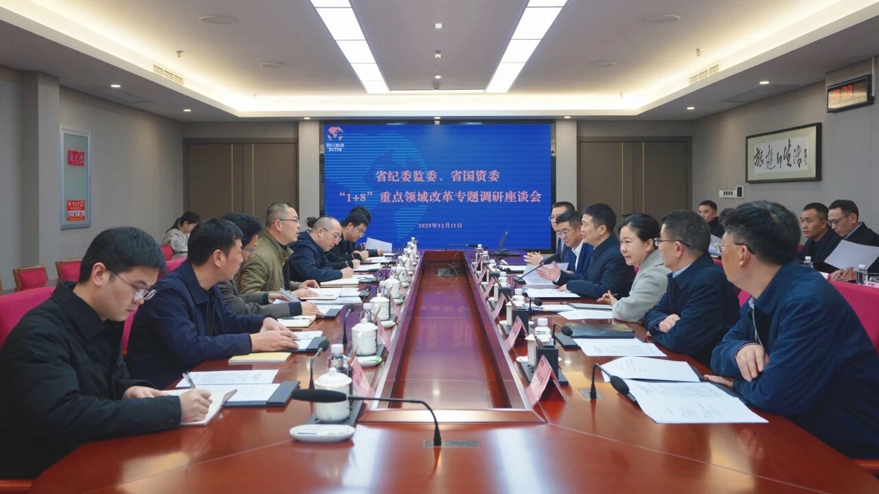 省纪委监委、省国资委一行带队调研省尊龙凯时集团